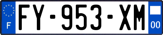 FY-953-XM