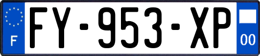 FY-953-XP