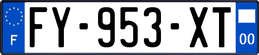 FY-953-XT