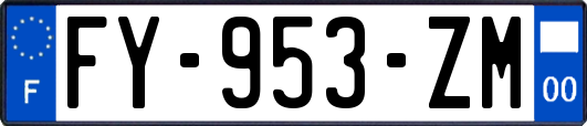 FY-953-ZM