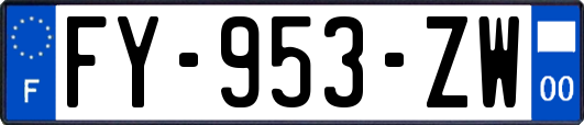 FY-953-ZW