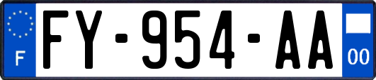 FY-954-AA
