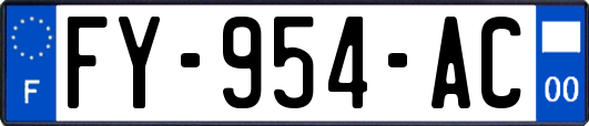 FY-954-AC