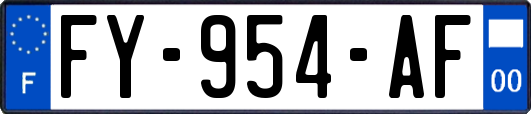 FY-954-AF
