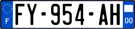 FY-954-AH