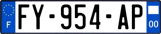 FY-954-AP