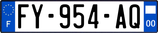 FY-954-AQ
