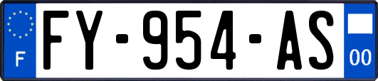 FY-954-AS