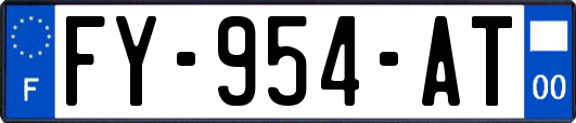 FY-954-AT