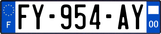FY-954-AY