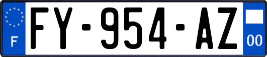 FY-954-AZ