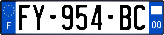 FY-954-BC