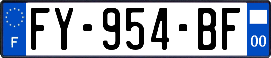 FY-954-BF