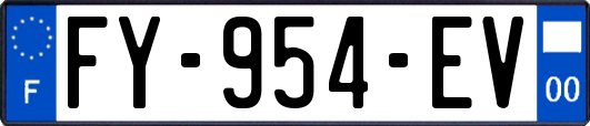 FY-954-EV