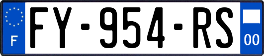 FY-954-RS