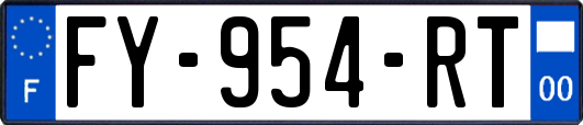 FY-954-RT