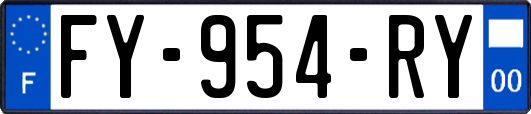 FY-954-RY