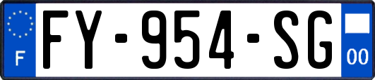 FY-954-SG