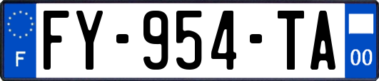 FY-954-TA