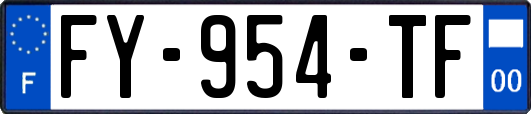 FY-954-TF