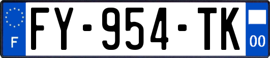 FY-954-TK