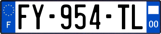 FY-954-TL