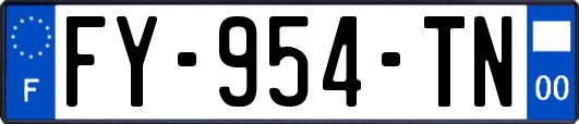FY-954-TN