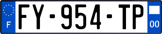 FY-954-TP