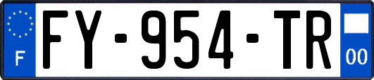FY-954-TR