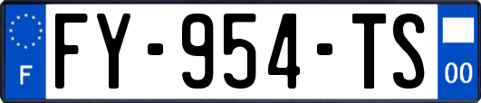 FY-954-TS