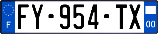 FY-954-TX