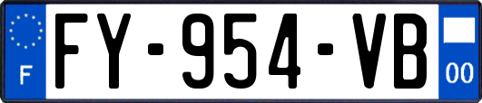 FY-954-VB