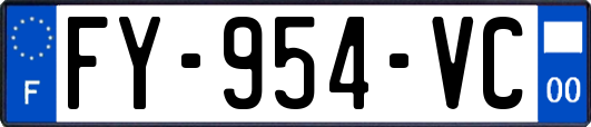 FY-954-VC