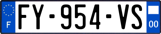 FY-954-VS