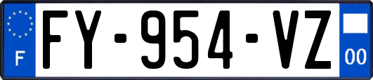 FY-954-VZ