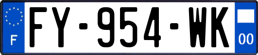 FY-954-WK