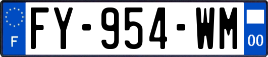 FY-954-WM