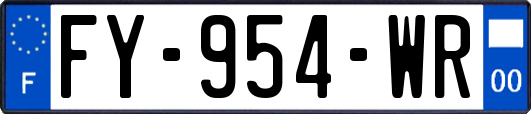 FY-954-WR