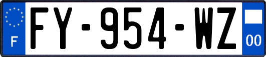 FY-954-WZ