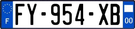FY-954-XB