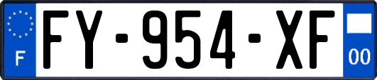 FY-954-XF