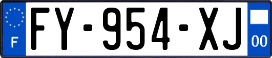FY-954-XJ
