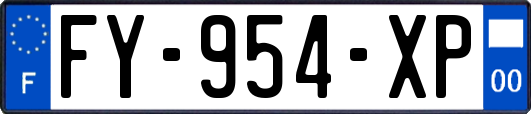 FY-954-XP