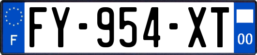 FY-954-XT