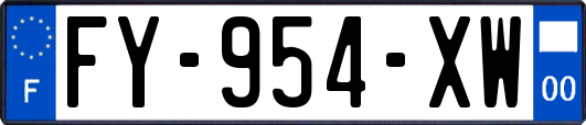 FY-954-XW