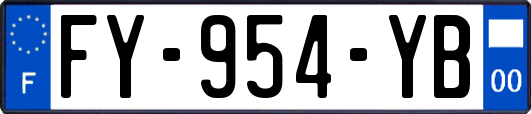FY-954-YB