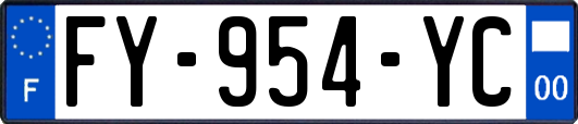 FY-954-YC