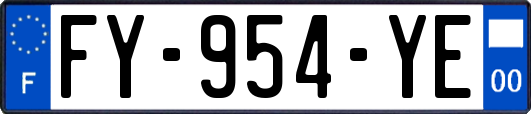 FY-954-YE