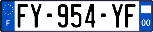 FY-954-YF