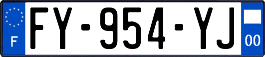 FY-954-YJ